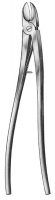 Bethune Rib Shears