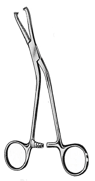 Dingmann Cartilage & Bone Seizing Forceps