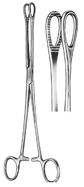 Foerster Sponge Holding Forceps