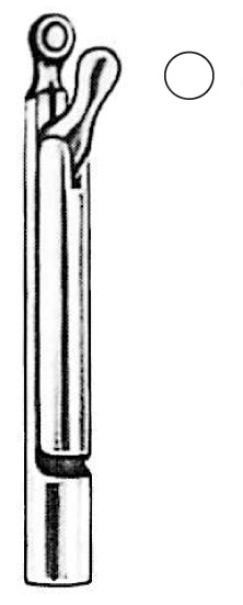 Laryngeal Tip