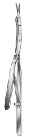 Microscopic Scissors