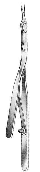 Microscopic Scissors