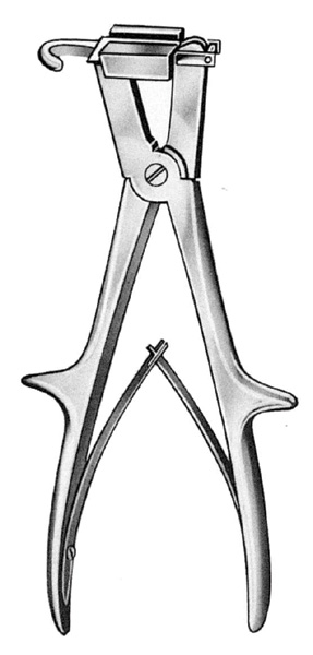 Sauerbruch Rib Shears