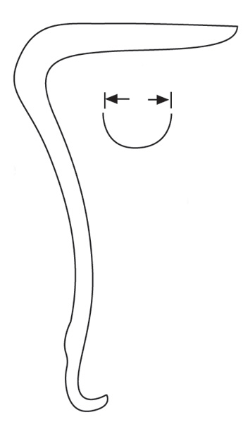 Sims Specula