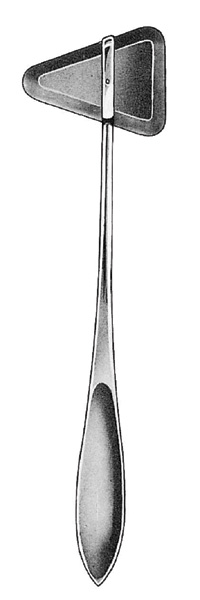 Taylor Percussion Hammer